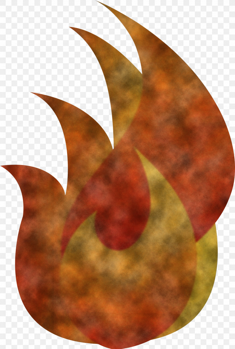 Flame Fire, PNG, 2253x3338px, Flame, Biology, Fire, Leaf, Orange Sa Download Free