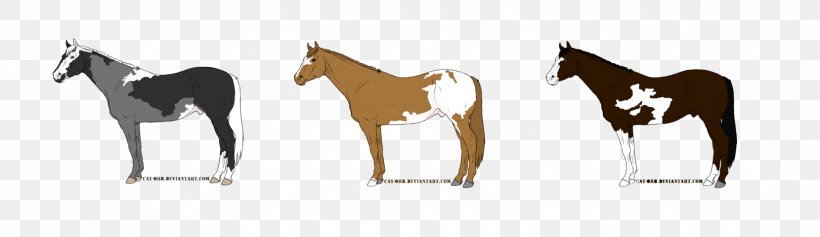 Mustang Foal Colt Stallion Mare, PNG, 1659x481px, Mustang, Animal, Animal Figure, Bridle, Colt Download Free