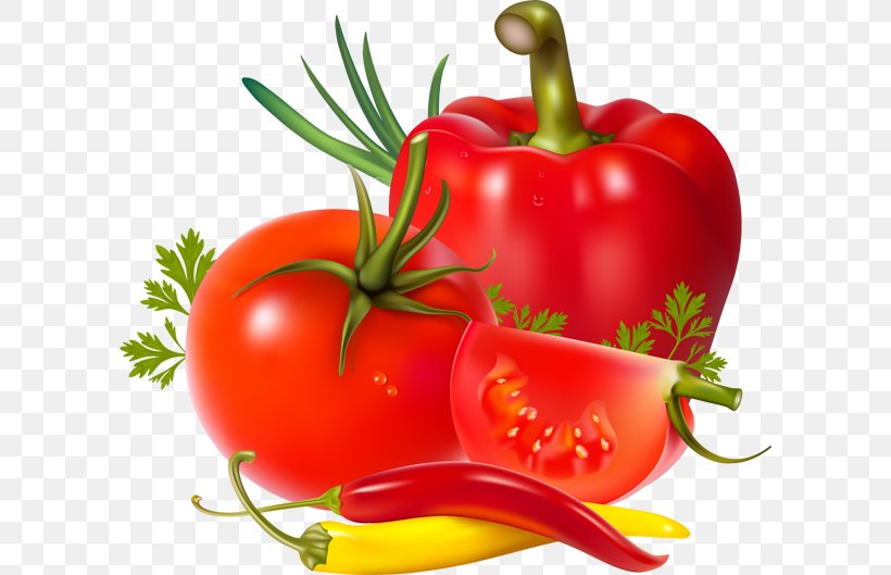 Salsa Tomato Juice Vegetable Chili Pepper, PNG, 600x529px, Salsa, Beefsteak Tomato, Bell Pepper, Bell Peppers And Chili Peppers, Bush Tomato Download Free