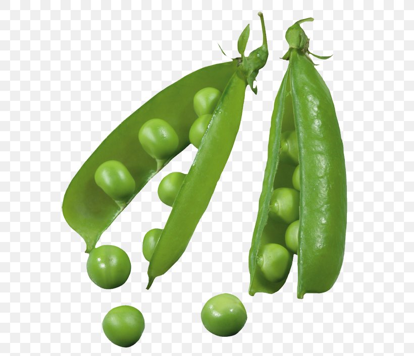 Vegetarian Cuisine Snow Pea Bean Snap Pea Vegetable, PNG, 600x706px, Vegetarian Cuisine, Bean, Common Bean, Edamame, Food Download Free