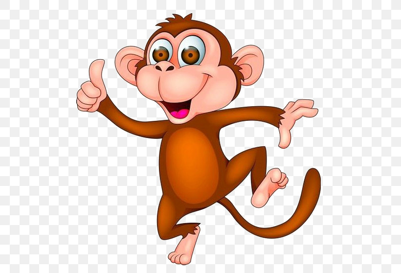 Cartoon Animation Old World Monkey Tail, PNG, 565x558px, Cartoon, Animation, Old World Monkey, Tail Download Free