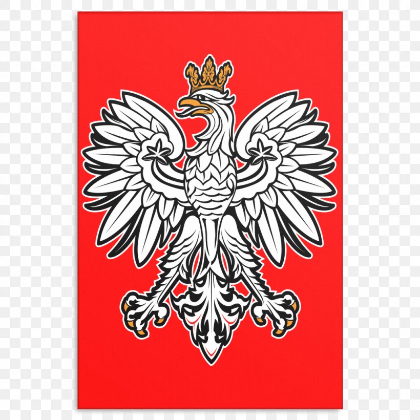 Coat Of Arms Of Poland Bald Eagle National Symbol, PNG, 1024x1024px, Watercolor, Cartoon, Flower, Frame, Heart Download Free