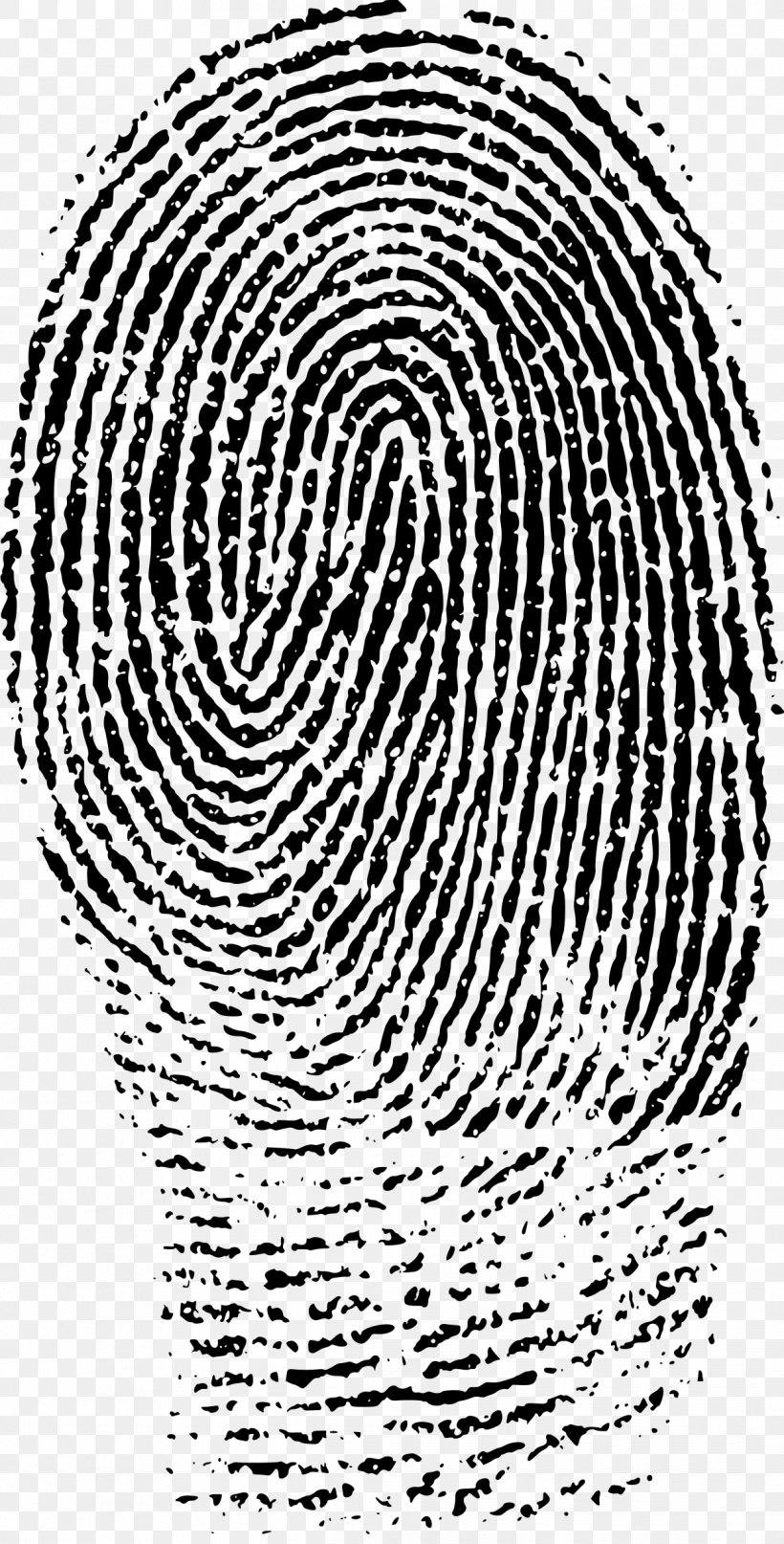 Fingerprint Evidence Forensic Science Crime Scene, PNG, 1219x2400px, Watercolor, Cartoon, Flower, Frame, Heart Download Free