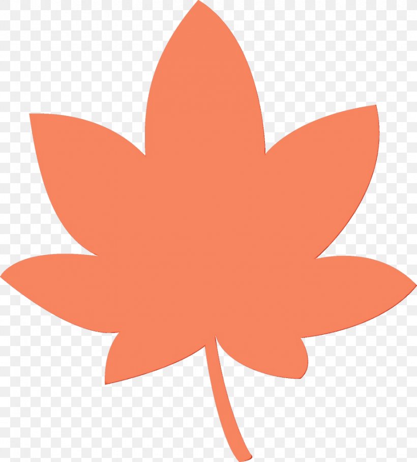 Orange, PNG, 924x1024px, Watercolor, Flower, Leaf, Logo, Orange Download Free