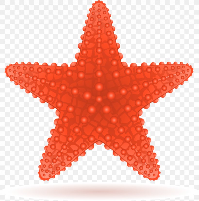 Starfish Royalty-free Clip Art, PNG, 832x839px, Starfish, Cartoon, Common Starfish, Leaf, Orange Download Free