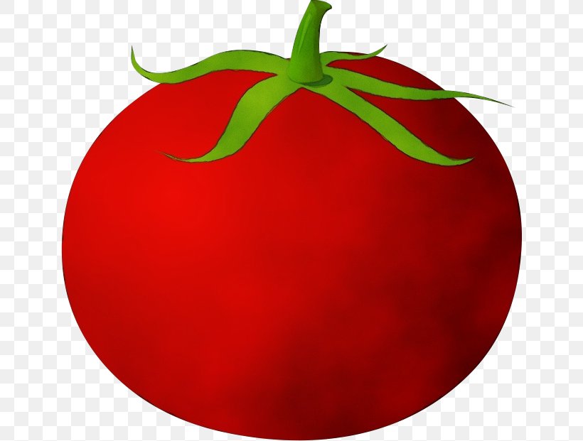 Tomato, PNG, 648x621px, Watercolor, Food, Fruit, Natural Foods, Nightshade Family Download Free