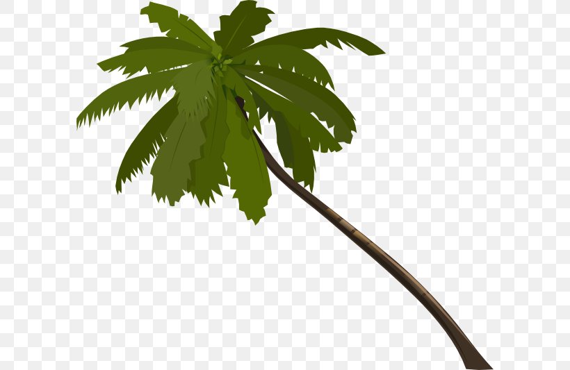 Arecaceae Clip Art, PNG, 600x533px, Arecaceae, Arecales, Branch, Flowering Plant, Leaf Download Free