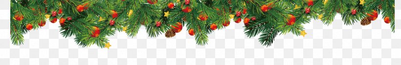 Christmas Ornament Pattern, PNG, 1716x282px, Fir, Branch, Christmas, Christmas Decoration, Christmas Ornament Download Free