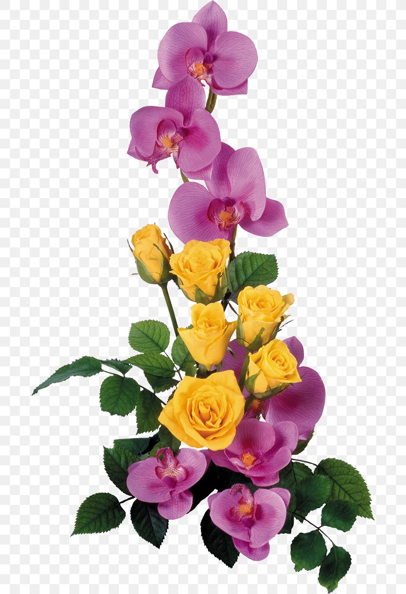 Flower Blue Rose Clip Art, PNG, 694x1200px, Flower, Blue Rose, Cut Flowers, Floral Design, Floristry Download Free