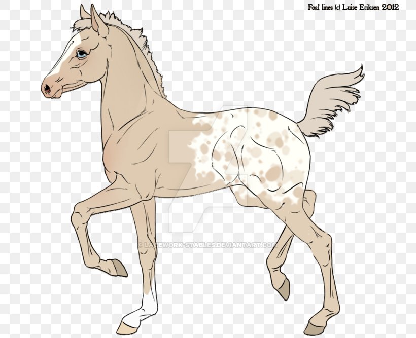 Mule Foal Bridle Stallion Colt, PNG, 800x667px, Mule, Animal Figure, Bridle, Colt, Deviantart Download Free
