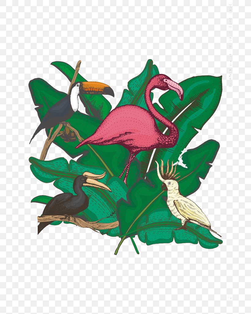 Bird Flamingo Parrot Illustration, PNG, 724x1024px, Bird, Art, Beak, Fauna, Fictional Character Download Free