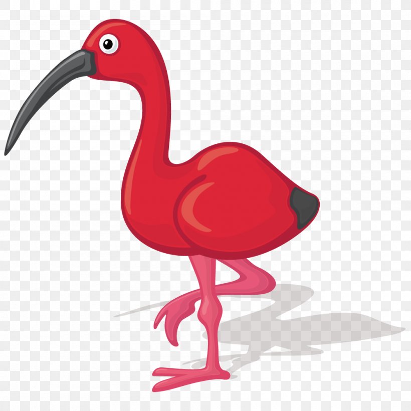 Bird Ibis Cartoon Illustration, PNG, 1000x1000px, Bird, Beak, Cartoon, Chicken, Drawing Download Free