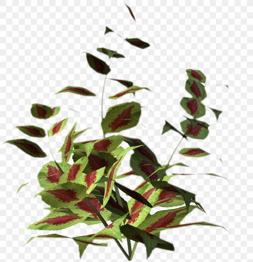 Clip Art Image Vector Graphics, PNG, 1545x1600px, Image Resolution, Art, Branch, Cartoon, Flora Download Free