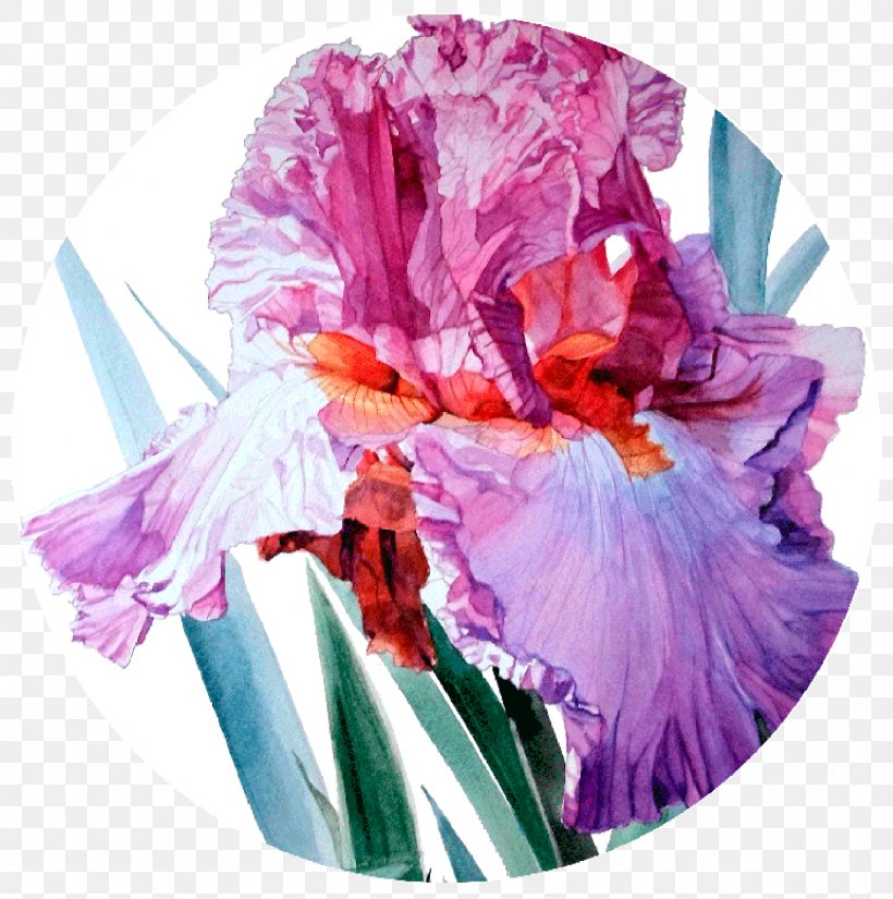 Irises Watercolor Painting Artist, PNG, 1472x1482px, Irises, Art, Artist, Contemporary Art, Contemporary Art Gallery Download Free