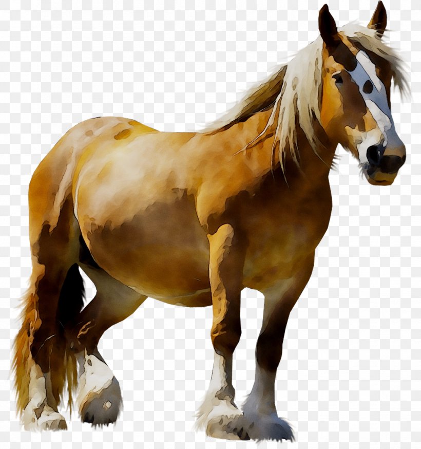 LAGOS ZOO Mustang Pony Animal, PNG, 1467x1564px, Zoo, Animal, Animal Figure, Foal, Furlong Download Free