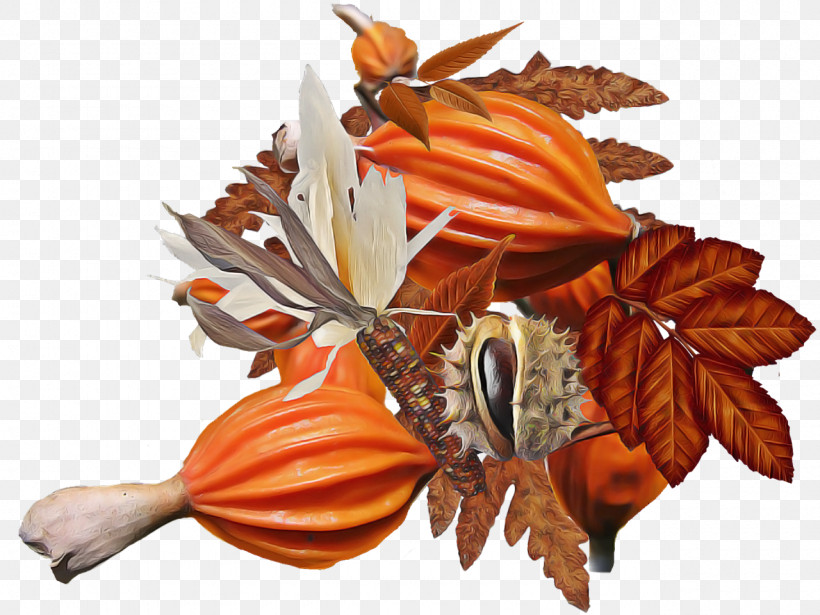 Orange, PNG, 1280x960px, Leaf, Autumn, Flower, Orange, Plant Download Free