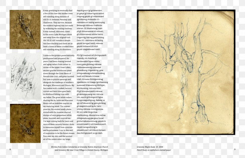 Paper Ladislav R. Hanka Drawing Folio, PNG, 1642x1062px, Paper, Animal, Art, Bee, Book Download Free