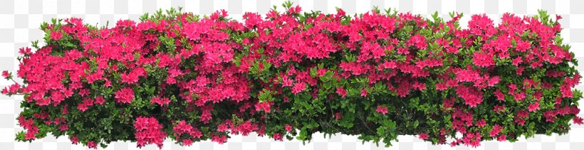 Shrub Clip Art Image Illustration, PNG, 1200x310px, Shrub, Drawing, Flower, Flower Garden, Grass Download Free