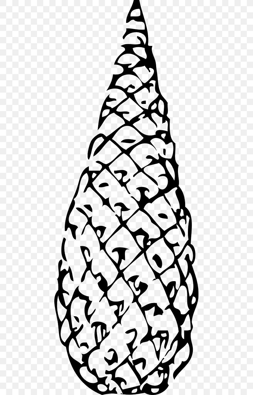 Spruce Fir Conifer Cone The Life Cycle Of A Pine Tree Conifers, PNG, 640x1280px, Spruce, Black And White, Christmas Decoration, Christmas Ornament, Christmas Tree Download Free