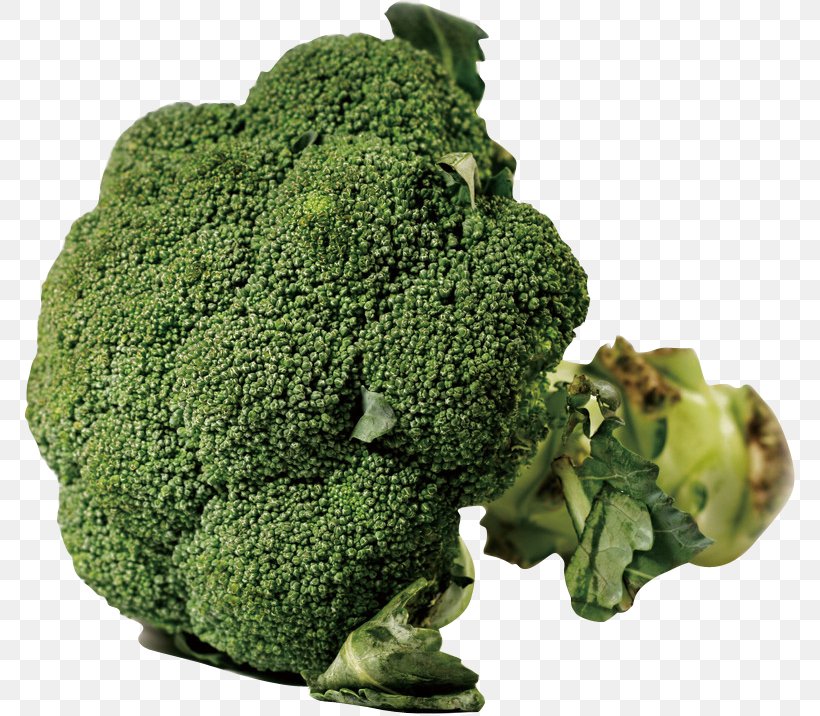 Food Nutrition Broccoli Vegetable Health, PNG, 771x716px, Food, Broccoli, Cancer, Carbohydrate, Cauliflower Download Free