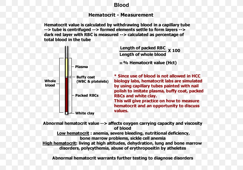 Hematocrit Blood Test Measurement Hemoglobin, PNG, 600x575px, Hematocrit, Anatomy, Area, Blood, Blood Cell Download Free