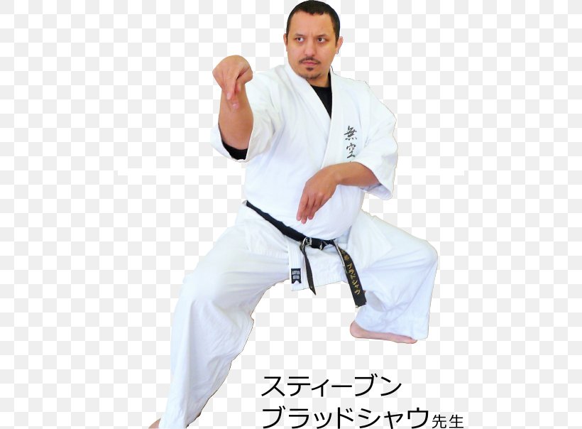 Dobok Karate Sports Hapkido Uniform, PNG, 488x604px, Dobok, Arm, Clothing, Hapkido, Japanese Martial Arts Download Free