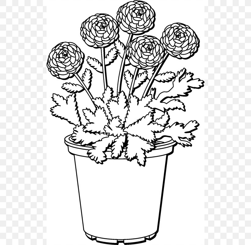 Cut Flowers Floral Design Plant Stem White, PNG, 800x800px, Cut Flowers, Black And White, Body Jewellery, Body Jewelry, Drawing Download Free