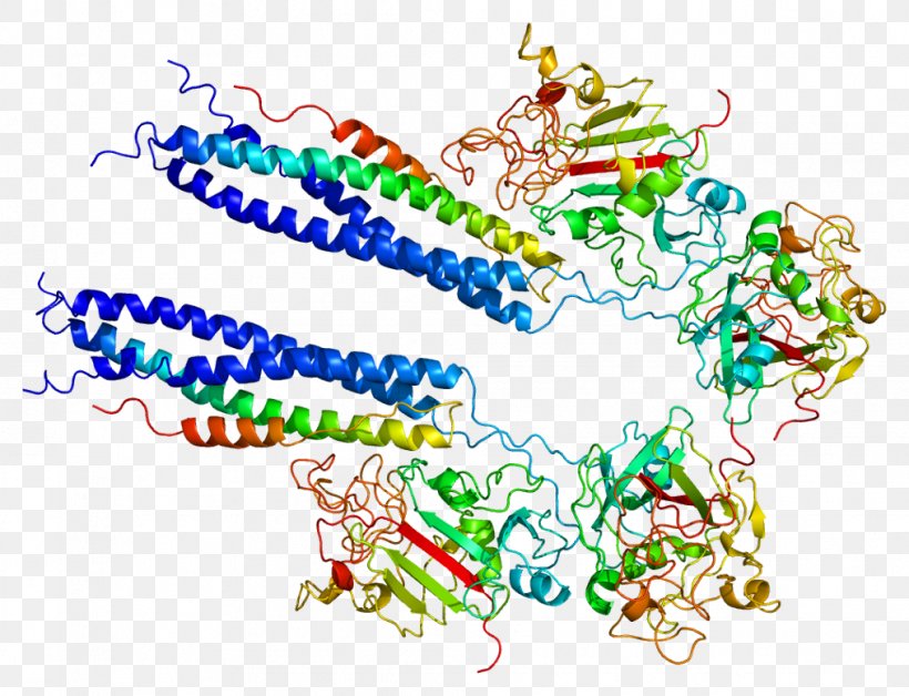 Fibrinogen Alpha Chain Protein Thrombopoietin, PNG, 1015x778px, Fibrinogen, Acutephase Protein, Antithrombin, Area, Art Download Free