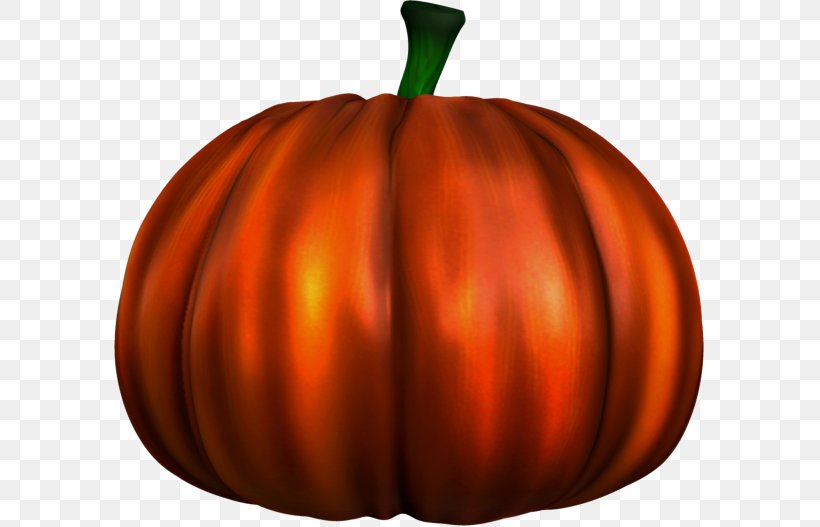 Jack-o-lantern Calabaza Pumpkin, PNG, 591x527px, Jackolantern, Blog, Calabaza, Christmas, Cucumber Gourd And Melon Family Download Free