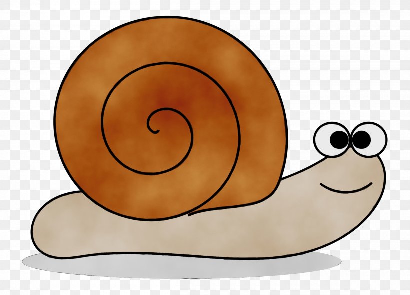 Snail Cartoon, PNG, 2400x1727px, Watercolor, Cartoon, Invertebrate, Molluscs, Paint Download Free