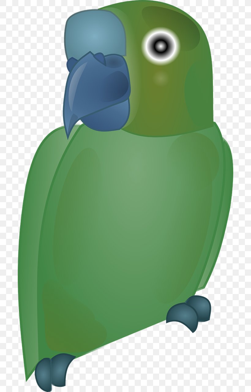 Bird Parrot Penguin Clip Art, PNG, 704x1280px, Bird, Beak, Flightless Bird, Green, Parrot Download Free
