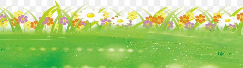 Download Computer File, PNG, 2537x710px, Lawn, Field, Flora, Flower, Flowering Plant Download Free