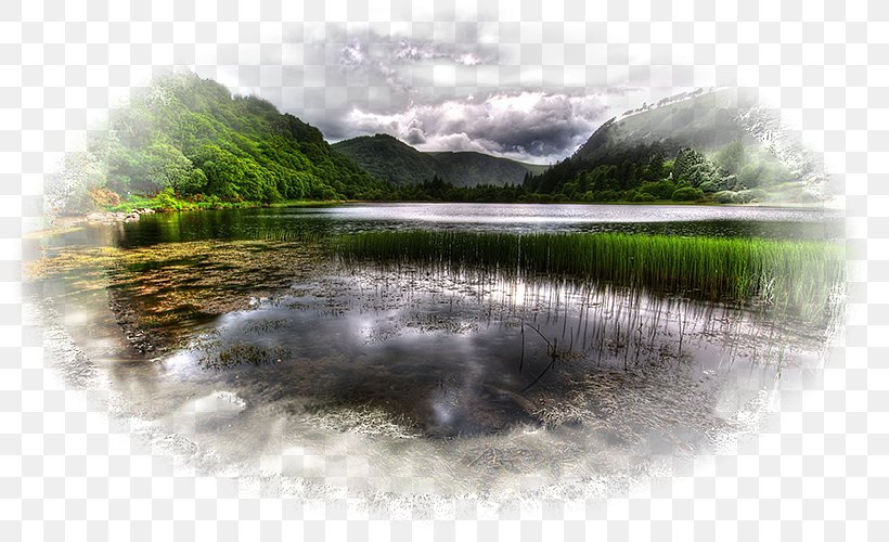 Water Resources Loch Inlet Desktop Wallpaper Pond, PNG, 800x500px, Water Resources, Computer, Grass, Inlet, Lake Download Free