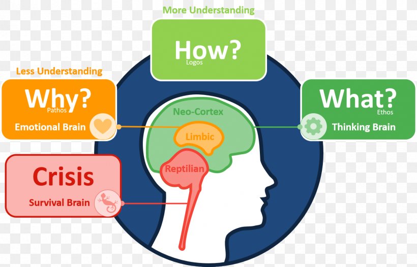 Triune Brain Limbic System Learning Neurotransmitter, PNG, 1457x936px, Triune Brain, Apprendimento Online, Area, Brain, Brand Download Free