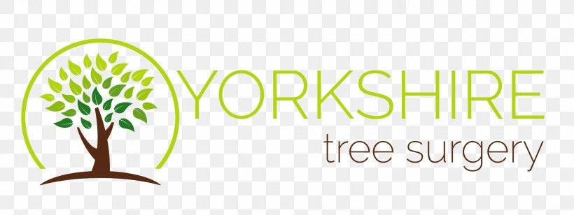 Yorkshire Tree Surgery / Care Hull And Yorkshire Brand Bespoke Inspiration Ltd Industry, PNG, 2000x752px, Tree, Brand, East Riding Of Yorkshire, Green, Human Behavior Download Free