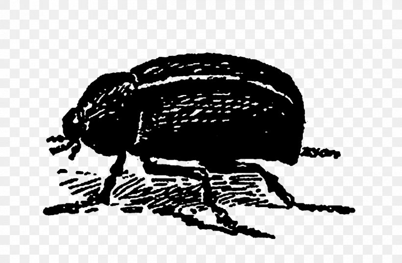 Beetle Garden Digital Stamp, PNG, 1200x786px, Beetle, Arthropod, Beak, Bird, Black And White Download Free