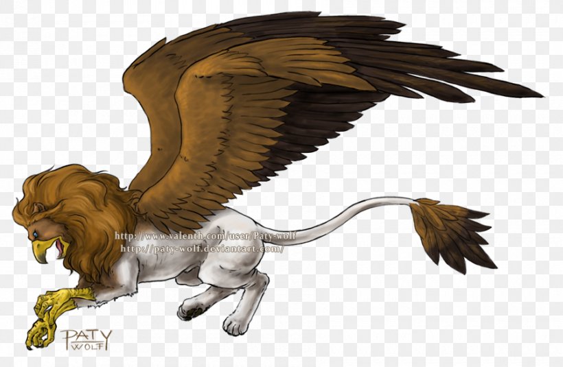 Gray Wolf Griffin Lion Drawing Legendary Creature, PNG, 900x588px, Gray Wolf, Animal, Art, Beak, Bird Download Free