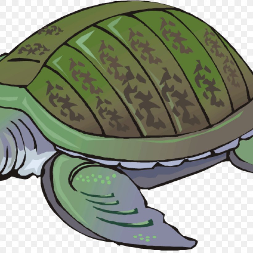 Green Sea Turtle Clip Art Tortoise, PNG, 1024x1024px, Sea Turtle, Box Turtle, Cartoon, Cecil Turtle, Drawing Download Free