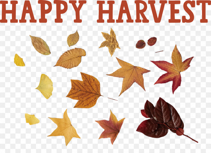 Happy Harvest Harvest Time, PNG, 3000x2184px, Happy Harvest, Bedroom, Cause Of Action, Color, Devor Download Free