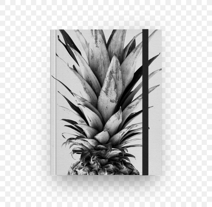 Pineapple Tropical Fruit White Avocado, PNG, 800x800px, Watercolor, Cartoon, Flower, Frame, Heart Download Free