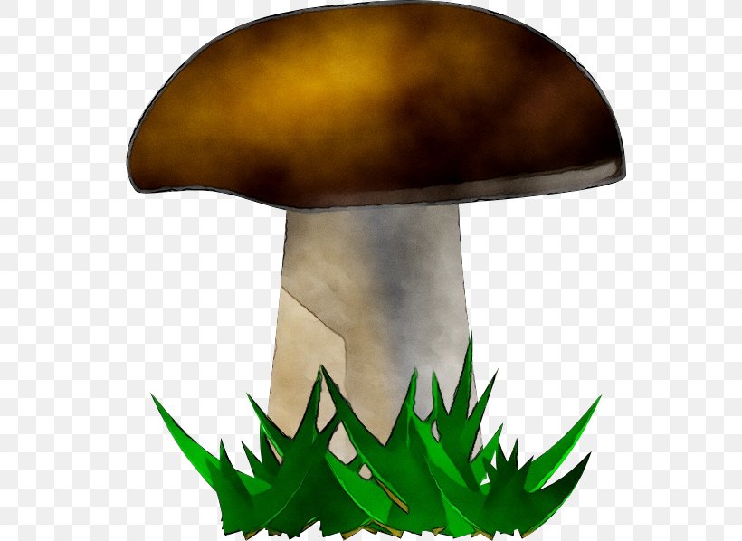 Clip Art Openclipart Free Content Mushroom, PNG, 564x598px, Mushroom, Agaric, Agaricaceae, Agaricomycetes, Bolete Download Free