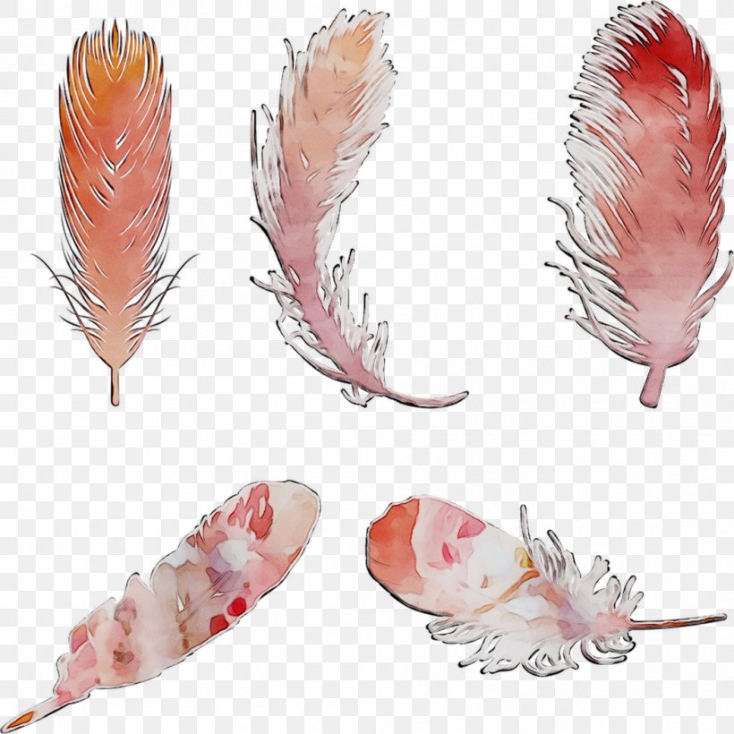 Feather Seafood, PNG, 1053x1053px, Feather, Quill, Seafood, Wing Download Free