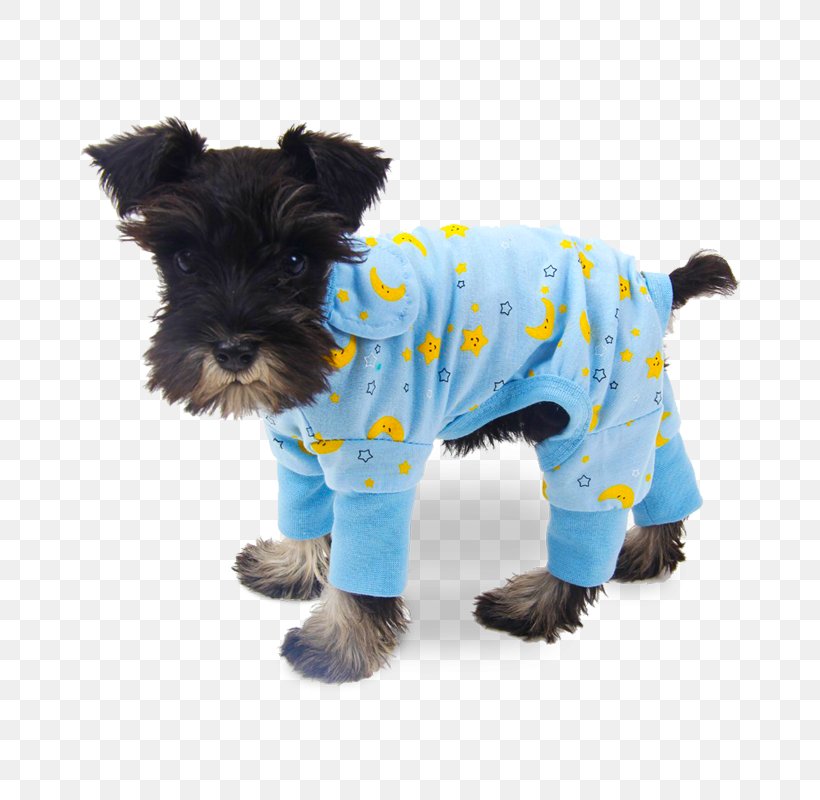 French Bulldog Puppy Hoodie Clothing Pajamas, PNG, 800x800px, French Bulldog, Carnivoran, Clothing, Coat, Companion Dog Download Free