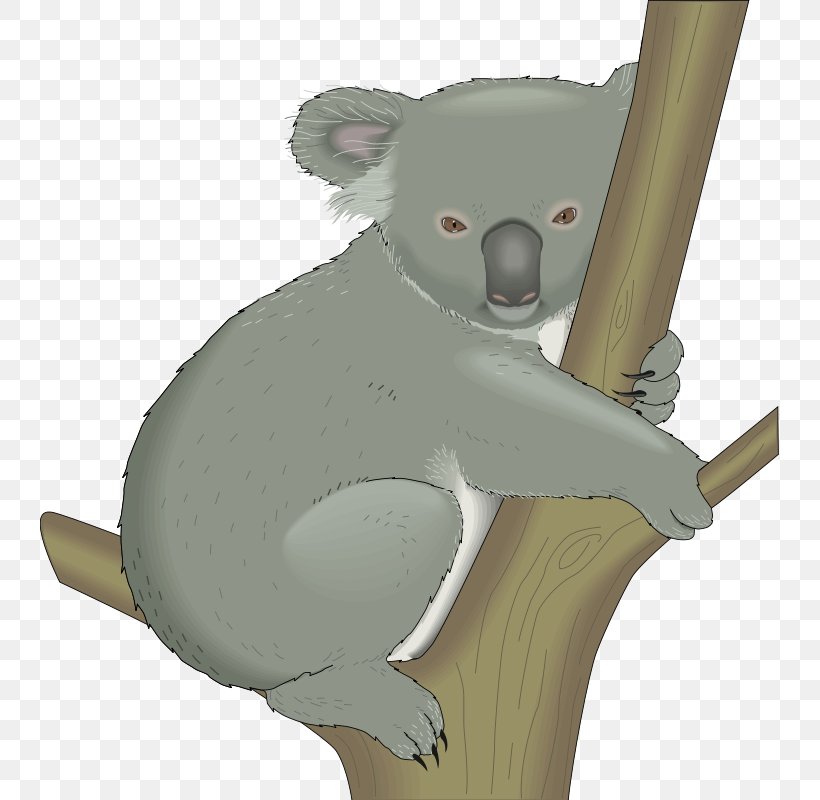 Koala Bear Cuteness Clip Art, PNG, 740x800px, Koala, Bear, Carnivoran, Cartoon, Cuteness Download Free