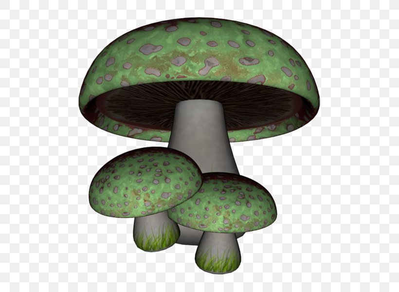 Mushroom Green Fungus Gratis, PNG, 600x600px, Mushroom, Fungus, Gratis, Green, Resource Download Free