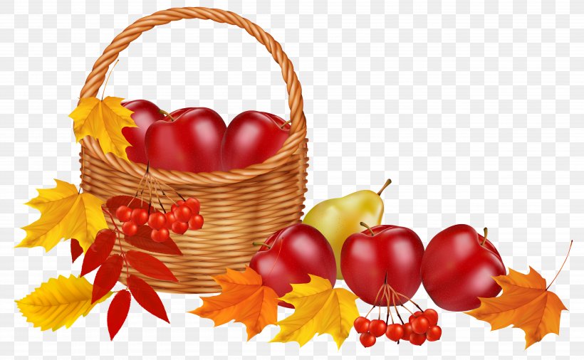 Autumn Leaf Color Fruit Clip Art, PNG, 5199x3209px, Autumn, Autumn Leaf Color, Blog, Drawing, Food Download Free