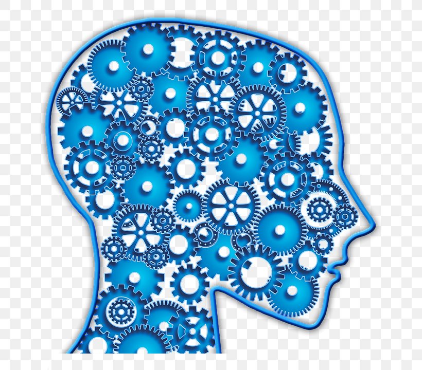 Human Head Human Brain, PNG, 669x720px, Human Head, Analogy, Aqua, Area, Blue Download Free