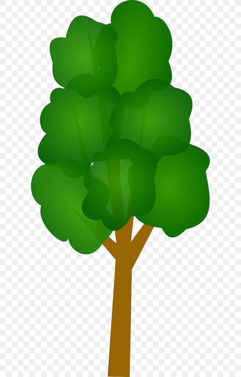 Clip Art Vector Graphics Tree Illustration, PNG, 640x1280px, Tree, Botany, Drawing, Green, Leaf Download Free