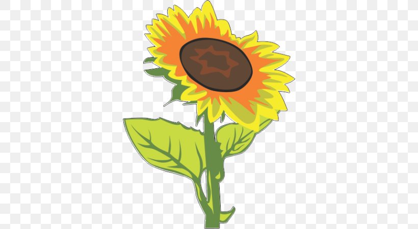Common Sunflower Clip Art, PNG, 450x450px, Common Sunflower, Asterales, Cut Flowers, Daisy Family, Flower Download Free