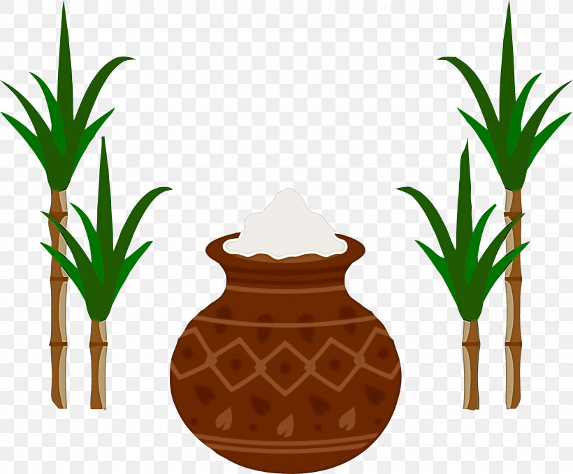 Pongal, PNG, 2999x2484px, Pongal, Flowerpot, Houseplant, Palm Trees, Plants Download Free